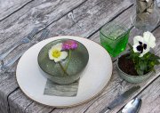 bloemen en planten vvbvanbree     1144